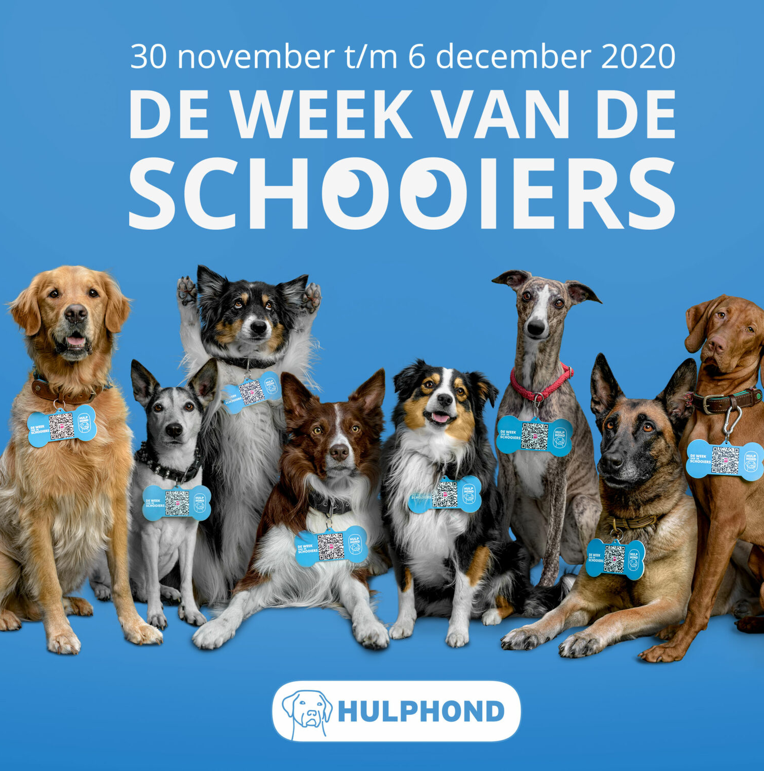 Ficaria sponsort stichting hulphond